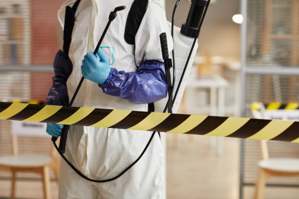 Professional Sewage Cleanup technician working in Maysville, MO
